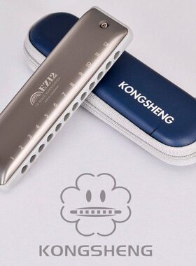 12孔全音阶布鲁斯口琴孔声EZ12自带低音4低音6无需压音十孔布鲁斯