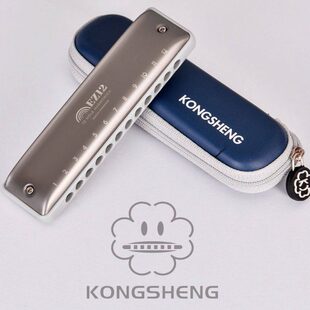 12孔全音阶布鲁斯口琴孔声EZ12自带低音4低音6无需压音十孔布鲁斯