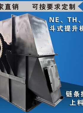 水泥粉TH400链条垂直输送给料机 NE30板链斗提机挖斗提升上料机