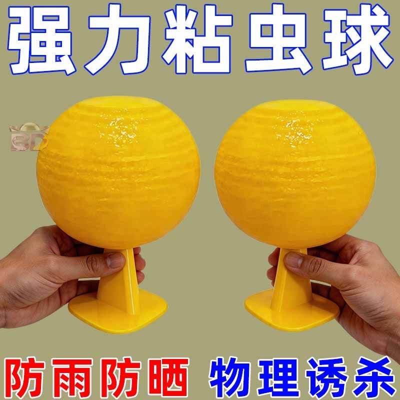 粘虫球丝瓜果实蝇贴诱蝇球针蜂马蜂色引诱剂果蝇诱捕器驱蚊粘虫球