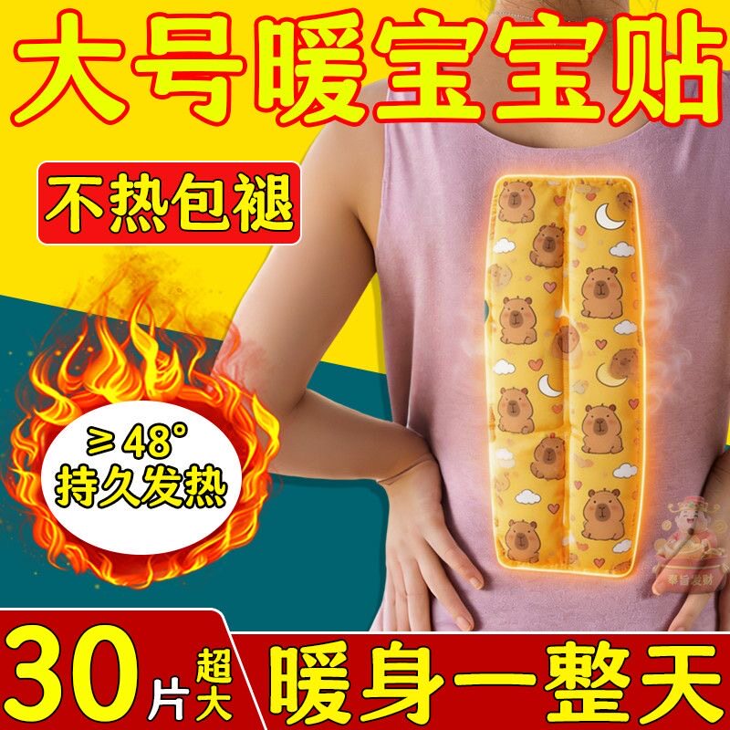 暖背贴腰椎暖宝宝贴热敷督脉贴龙骨贴晒背贴全身自发热后背保暖贴