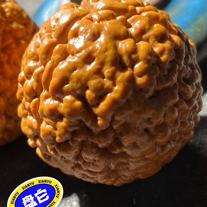祥龙姜黄b皮超大脑纹三瓣大金刚菩提子籽手球文玩405060尺寸手把