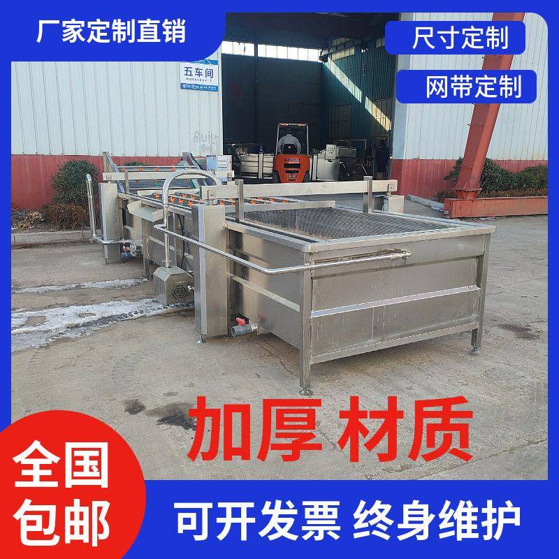 净菜气泡清洗设备偏口鱼虹鳟鱼清洗设备白鲢鱼石斑鱼去污清洗机