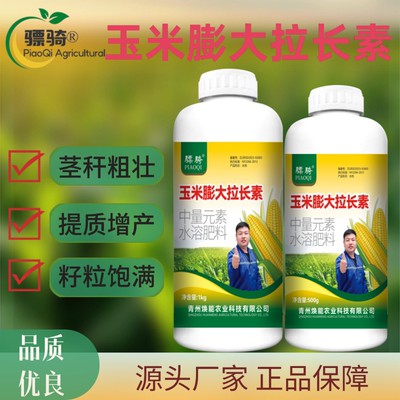 骠骑玉米膨大拉长素玉米种植增产增收籽粒饱满抗倒伏