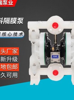 规格齐全 BQG100塑料隔膜泵 6661A3-344-C DN25气动隔膜