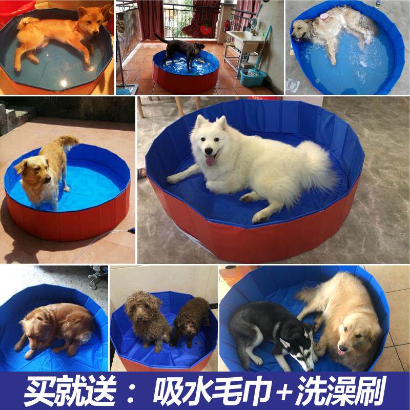 狗狗洗澡盆可折叠泰迪金毛阿拉斯浴池/浴盆
