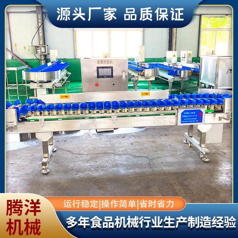 柑桔分级机水果重量分选机果蔬产后分选设备动态称重剔除机