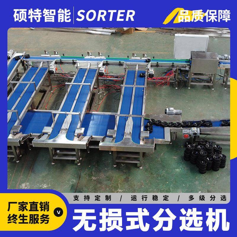 黄桃无损分选机芒果凤梨称重分级设备网纹瓜多功能品质分拣机