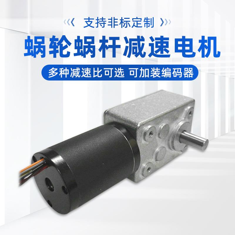 供应按摩椅电机24V无刷蜗轮蜗杆减速电机自动化机械电子设备配件