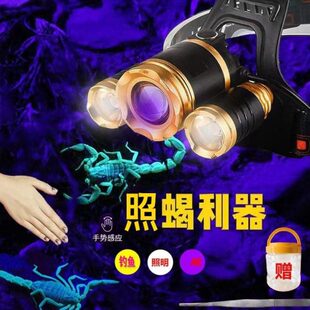 2024新款强光养蝎子灯专用头戴式照看超亮头灯大功率专业充电紫光