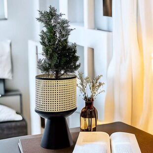 仿藤编花盆几何现代轻奢简约客厅阳台室内铁艺极简落地绿植花盆架