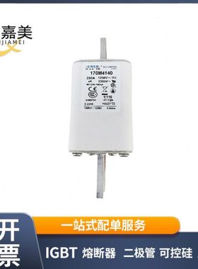 170M4140  170M4019 快速熔断器  电子元器件 库存充足 量大价优