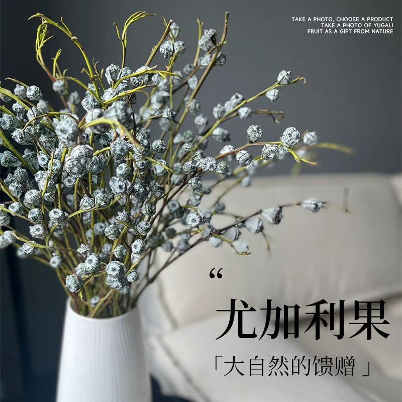 尤加云果鲜花利南直发干燥花花束客厅摆设花瓶摆件插物水培植花鲜