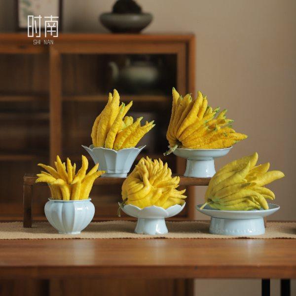 中式可养佛手柑托盘陶瓷佛手瓜水培器皿佛手果专用花瓶佛手供盘