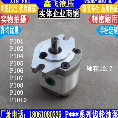 P101/P102/P104/P105/P106/P107/P108/P109 RP01GT齿轮油泵12.7轴