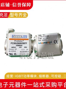 A070UD30TTI350 S300580  30TTI400 T300581熔断器现货