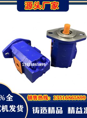 泊姆克P124-G16182LD54GBO齿轮泵P124-G16182LD-54G877-01109油泵