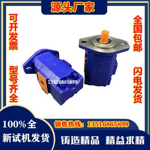 泊姆克P124 G16182LD 54G877 01109油泵 G16182LD54GBO齿轮泵P124