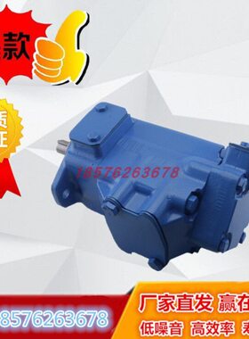 海天注塑机专用高低压泵2520V-12A/14A/17A/21A5 1CC-22R油泵配件