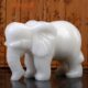 阿富汗白玉象摆件一对 吸水大象 玉如意白象大量