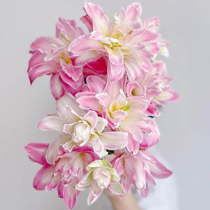 颜色渐层花朵精致双重惊喜重瓣百合鲜花云南基地直发插花水培送花