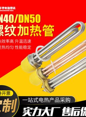工程六角螺纹电热管DN40DN50锅炉发热管导热油水箱加热棒220V380V