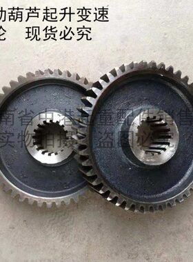 吨小型微型5吨电动葫芦变速一轮二轮三轮肚齿轮主起升减速机配件