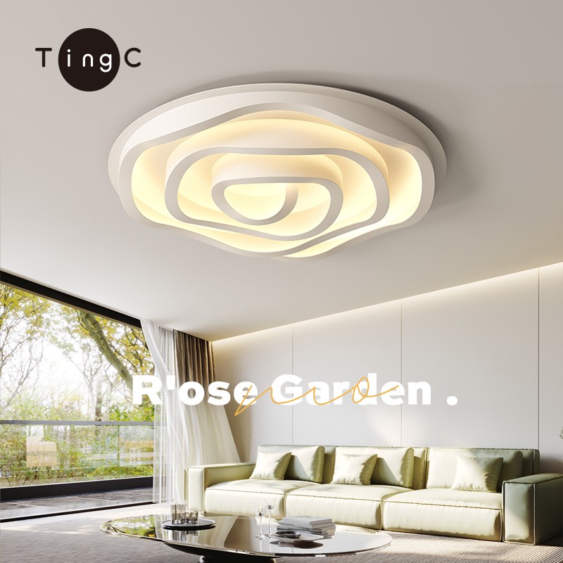 客厅灯吸顶灯现代简约大气2025新E款极简玫瑰花圆形全光谱中山灯