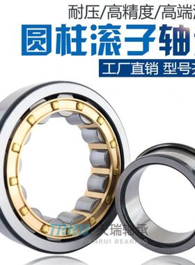 TRRB天瑞圆柱滚子轴承N NJ NU NUP219EM内径95外径170厚度32MM