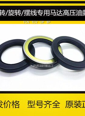 CHR AP4063B TCN 100*125*13 氟胶油封