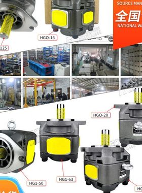 替海特克齿轮泵HG1-40-01R-VPC/50/63/HG0/HG2-160内啮合伺服油泵