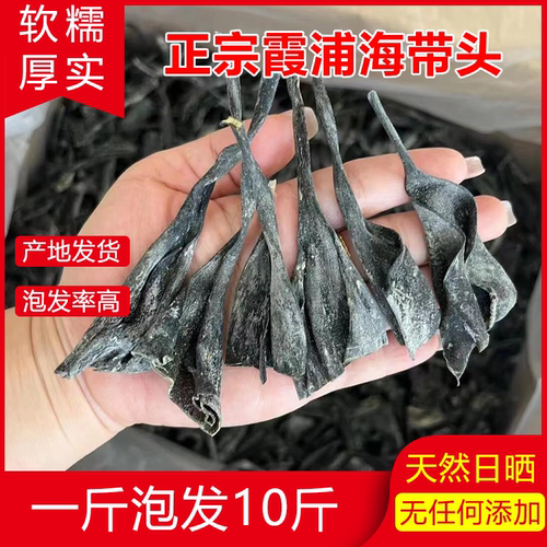 福建特产海带头霞浦海带头干货