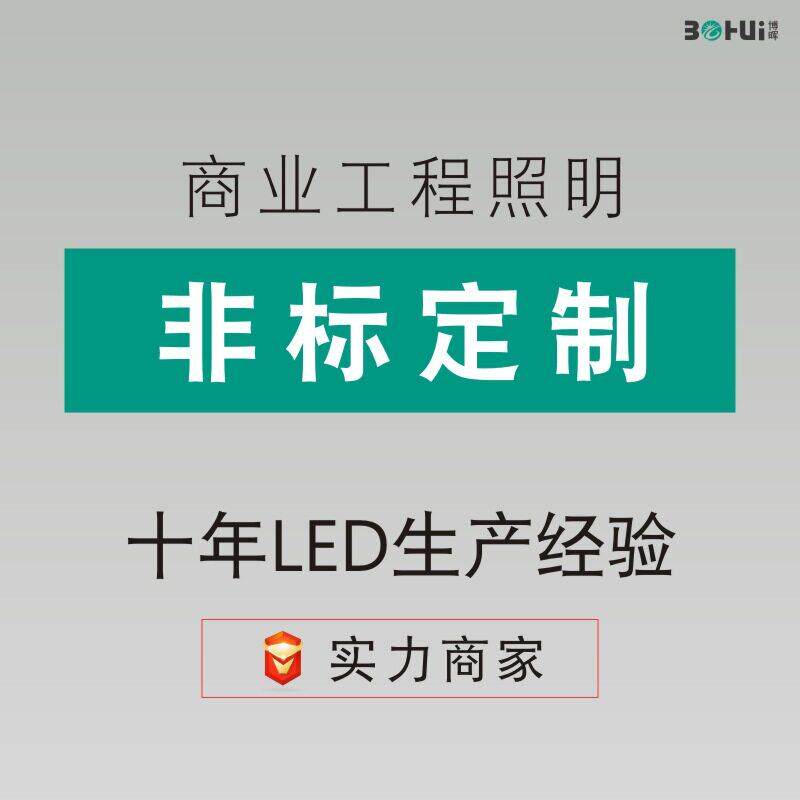无主灯射灯非标灯具订做来图来样加工射灯筒灯轨道灯天花灯非标款