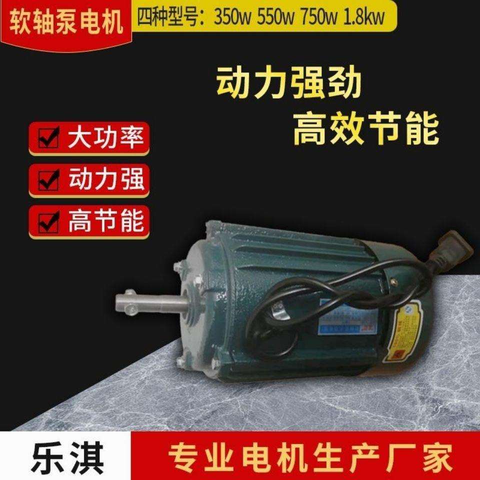 软轴泵增压泵转转泵节能省电防冻抗旱铸铁铝壳铜线铝线专用电机