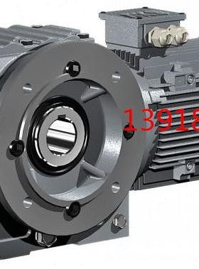 DLKAF01电机DLKAF04伞齿轮箱DLKAF02马达DLKAF03 05减速器减速机