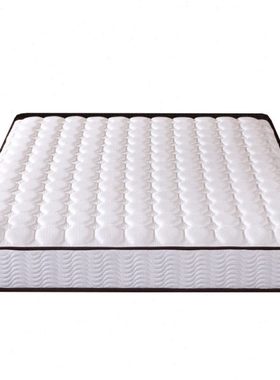 臻远 ZY-ML-H09202 席梦思弹簧床垫 1200*2000 白色
