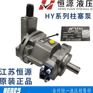 40Y 80Y 250Y 160Y 25Y 125Y 江苏恒源柱塞泵HY63Y 107Y
