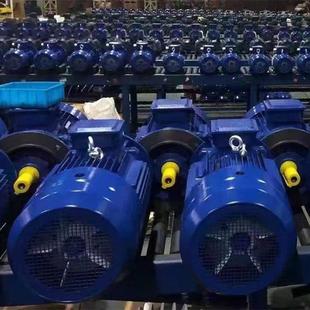 立式 三相异步电动机YE2 三相电机380V卧式 YE4 全铜线圈电机 YE3