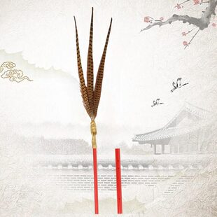 祭孔（祭祀炎帝）大典八(六)佾舞翟籥道具祭礼乐舞文武生佾生手羽