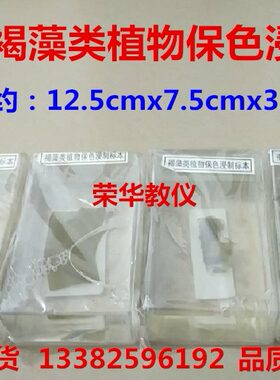 43011褐藻类植物保色浸制标本4种藻类  生物实验器材教学仪器包邮