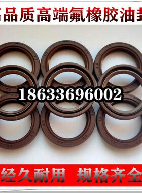 氟胶骨架油封 180X200X210X215X220 X12 X13 X15 X16 X18 FKM7