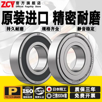 日本进口ZCY304不锈钢轴承耐腐蚀S6006/6007/6008/6009/6010/6011