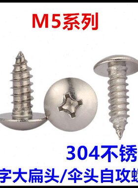ST5*18*19*45*55*65*90十字大扁头自攻螺丝钉不锈钢TA伞头蘑菇头