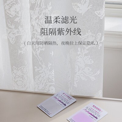 法丝蕾式蝴蝶纱帘白防2025新款窗纱客厅阳台透光不透人卧室纱晒纱