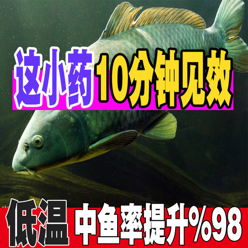 麝鱼红虫液钓鱼香饵添加剂浓腥黑坑野钓鱼饵鲫加鲤鱼饵料鱼饵诱食