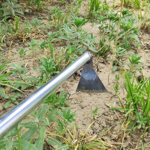 角镰撅镰决头砍玉米镢手动砍玉米杆工具头除野草专用工具刨锄农具