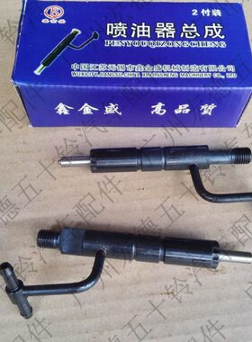 五十铃庆铃皮卡 TFR55 天皇100P 国3 欧3 喷油嘴总成 喷油咀1支