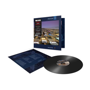 正版  Pink Floyd平克弗洛伊德 暂失理智 进口美版摇滚LP黑胶唱片