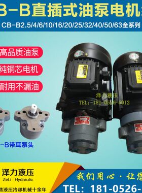 CB-B10JZ/B2.5JZ/B4J/B6JZ CBW-B10/B4/B6锯床齿轮油泵电机组370W