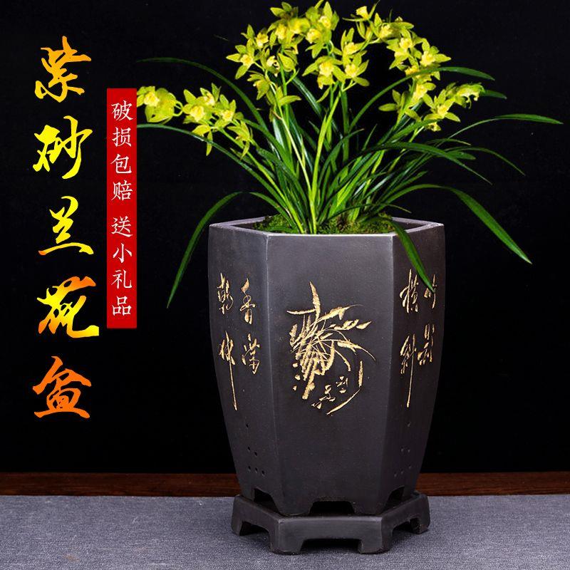 宜兴紫砂花盆兰花专用多